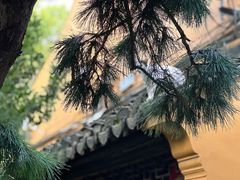 -龙华寺