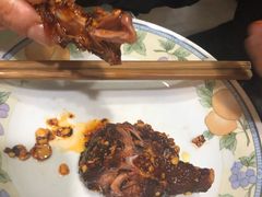 -邓氏兔头