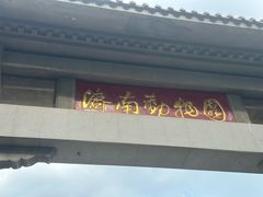 -春水锅贴·传统鲁菜(大明湖店)