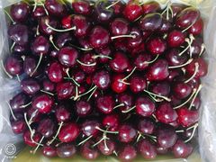 -果蔬好生活超市(乐堤港店)