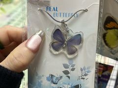 -上海大自然野生昆虫馆(东方明珠·爬宠昆虫探索中心)