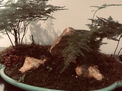 -甜心闲生传统手工冰粉(奎星楼店)