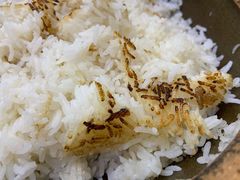 -红星光发煲仔饭(大石街店)