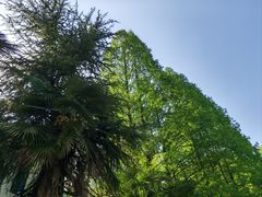-小格里自然风景区