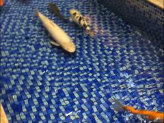 -沙河粉村·国家非遗传承(云台店)