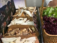 -芸山季·云南山珍菌火锅(南翔印象城MEGA店)