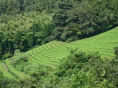 -敬亭山风景名胜区