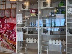 -Let's go狗咖·猫咖·奶狗·桌游(春熙路IFS店)
