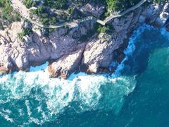 -广东惠东海龟国家级自然保护区