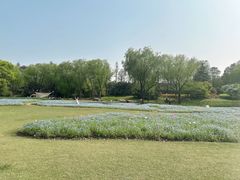 -上海滨江森林公园