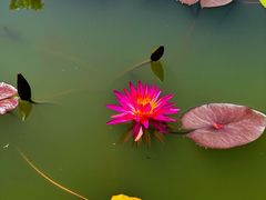 -国家植物园南园