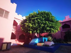 -漳州滨海火山岛自然生态风景区