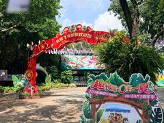 -广州长隆飞鸟乐园