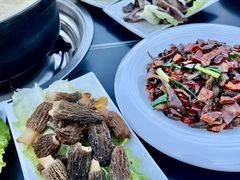 -野菌皇海景野生菌火锅(滨海大道店)