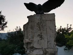 -北京鹫峰国家森林公园