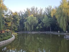 -西安市长乐公园