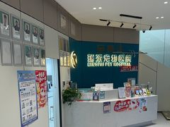 -瑞派动物医院·猫专科·至诚(江南中分院)