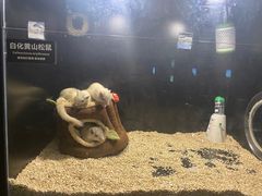 -太平洋海底世界