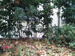 -徐家汇源景区-衡山公园