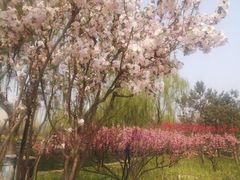 -古塔公园