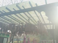 -洪湖家庭农场·团建·露营·会议