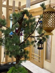 -芳朵美容养生SPA