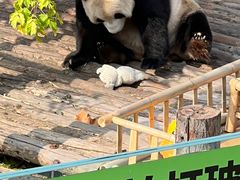 -大连森林动物园