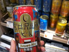 -轻井泽王子购物广场