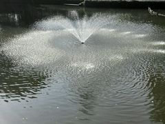 -绮园景区