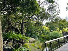 -荔枝公园(福田区)