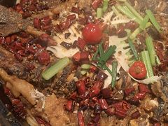 -老板恋上鱼(印象城店)