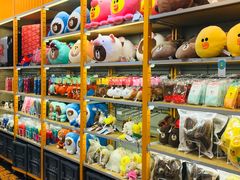 -line friends(明洞旗舰店)