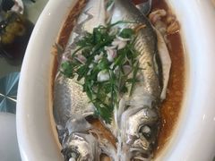-小北江河鲜(新城店)