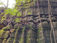 -梭布垭石林景区