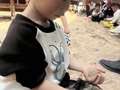 -枫香湖儿童公园