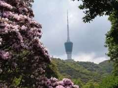 -梧桐山风景名胜区