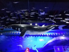 -梦幻海洋王国(吾悦广场张家港店)