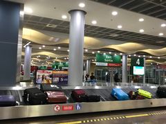 -西沃古尔·拉姆古兰爵士国际机场