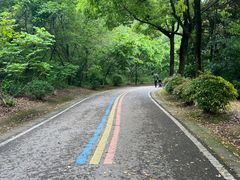 -羊山湖公园