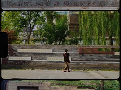 -莲花池公园