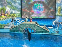 -海合安成都极地海洋公园