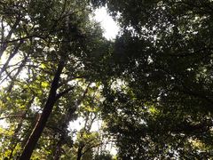 -华南国家植物园-售票处