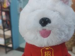 -全心全意连锁动物医院·微创中心·内科急重症·心脏专科(丰管路店)