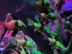 -沈阳海洋探索中心