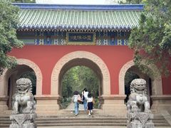 -灵谷景区