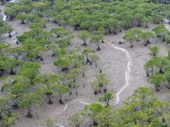 -北海金海湾红树林生态旅游区