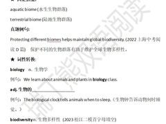 -瑞丁熊原版阅读(大华校区)