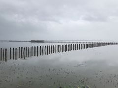 -哈素海