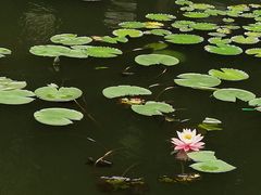 -月亮湾公园