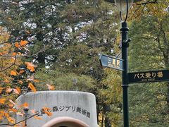 -三鹰之森吉卜力美术馆